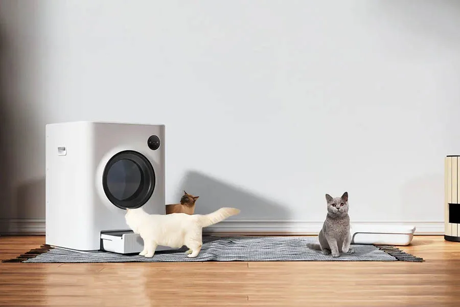 best litter boxes for multiple cats